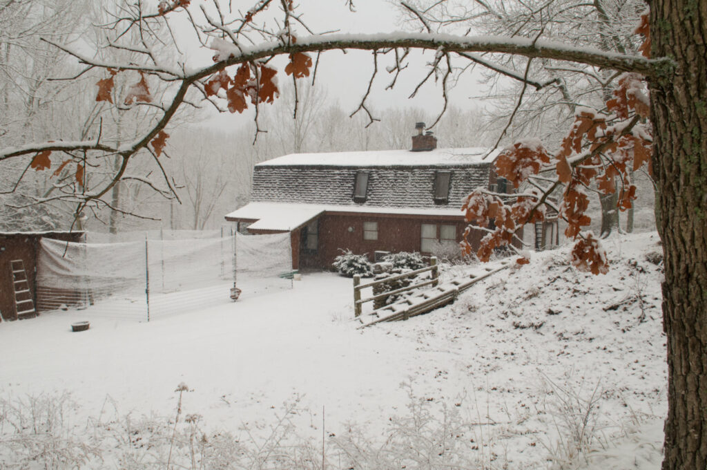 Image: The farmhouse in the winter.