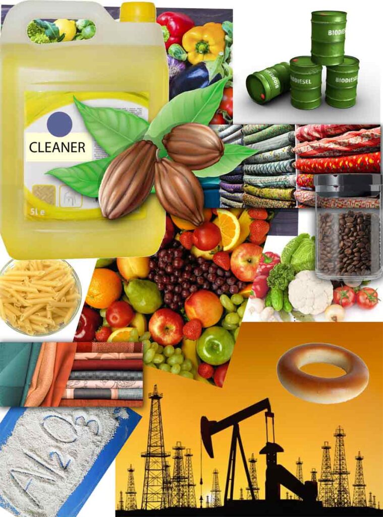 Examples of the uses of lye